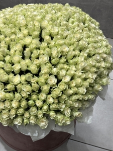 Композиция в коробке Голд: цветы, которые говорят «ты мое золото» Цветы, Букеты, Подарки, Сладости в Тель-Авив с доставкой