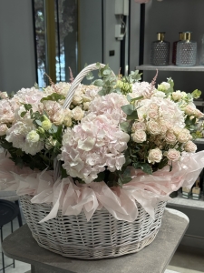 Композиция в корзине Молли: когда не нужно искать повода Цветы, Букеты, Подарки, Сладости в Тель-Авив с доставкой