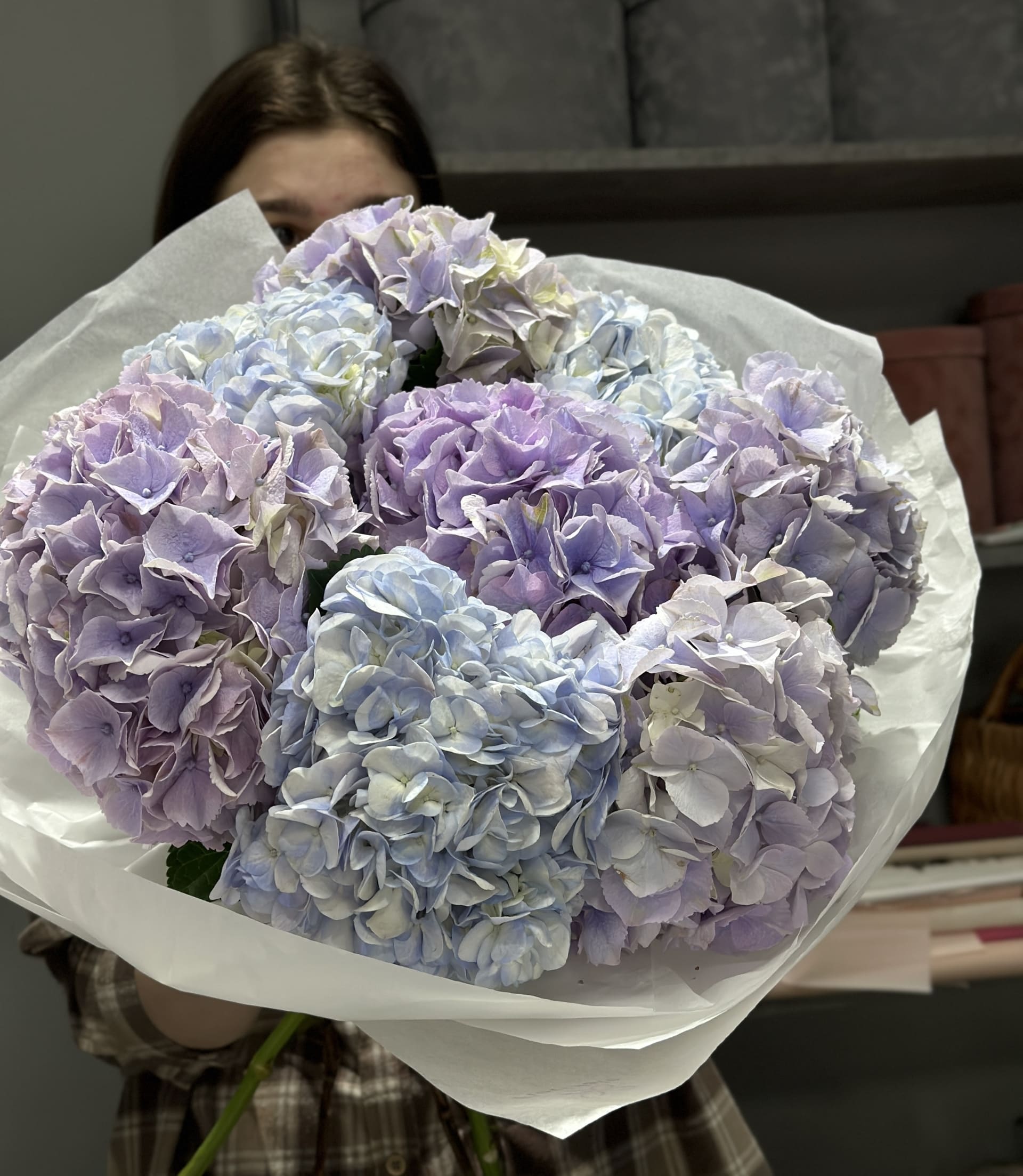 Букет гортензий Симфония: мелодия чувств 1 Цветы, Букеты, Подарки, Сладости в Тель-Авив с доставкой Букет гортензий Симфония: мелодия чувств Цветы, Букеты, Подарки, Сладости в Тель-Авив с доставкой