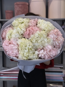 Букет гортензий Юни: целая вселенная в букете Цветы, Букеты, Подарки, Сладости в Тель-Авив с доставкой