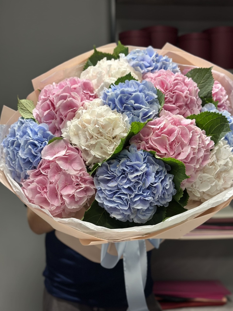 Букет гортензий Мистери: мечта каждой девушки Цветы, Букеты, Подарки, Сладости в Тель-Авив с доставкой